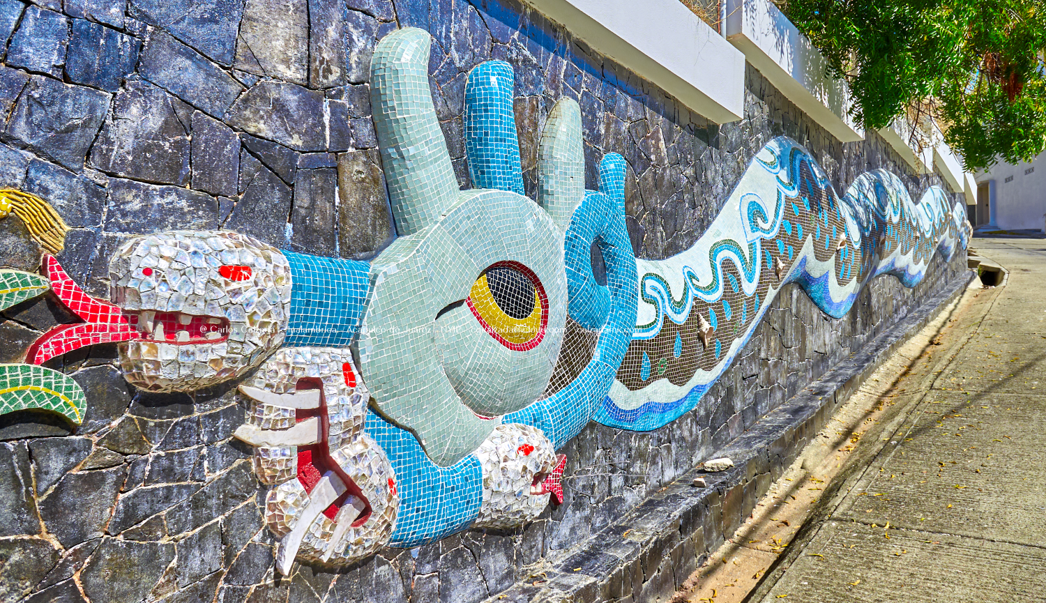 Diego Rivera - DSC02800 - ene 15 2025.png